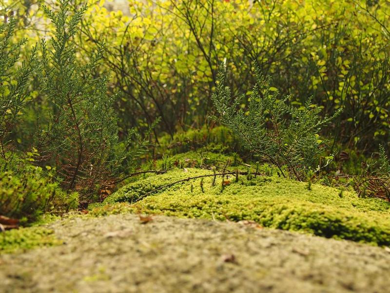 苹果ID更改地区<br>国家/区域一键切换教程
